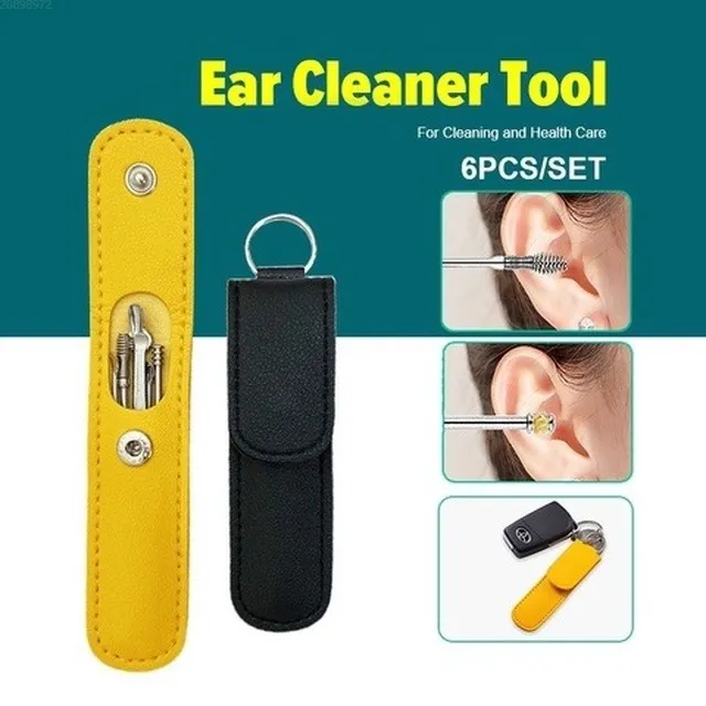 6PCS Ear Pick Set Portable Ear Cleaner Set Stainless Steel Earpick Ear Wax Curette Remover